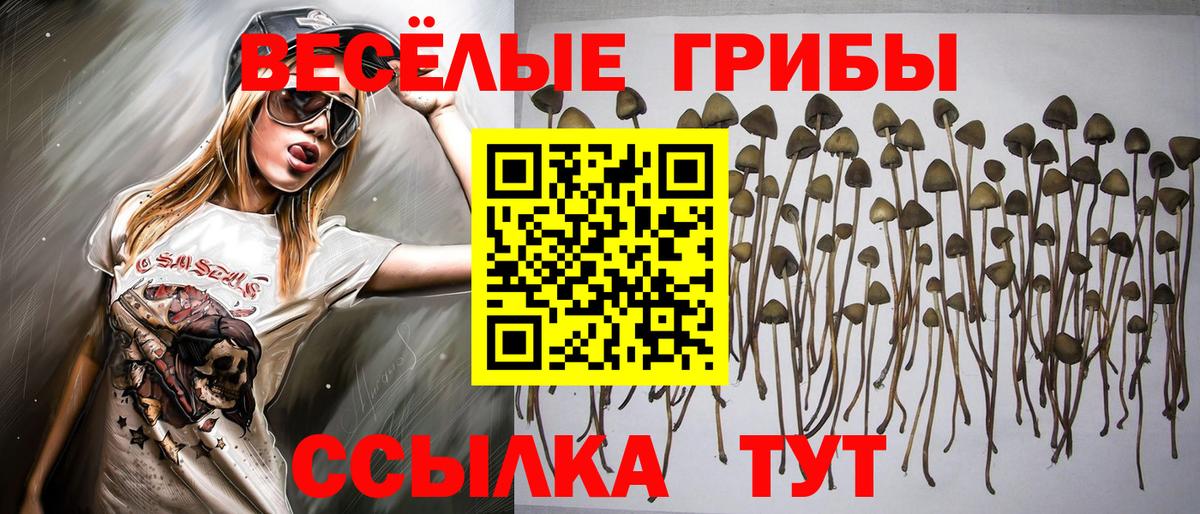 А ПВП СОЛЬ   Вход с VPN  Новочебоксарск  ГАШ  Конопля  Мефедрон  