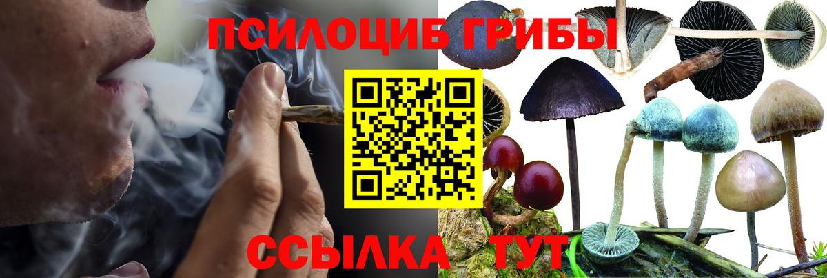 Галлюциногенные грибы мицелий  Вход с VPN  хочу   Новочебоксарск 